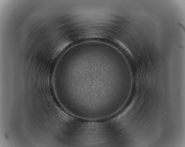 X0000091730777200708311201