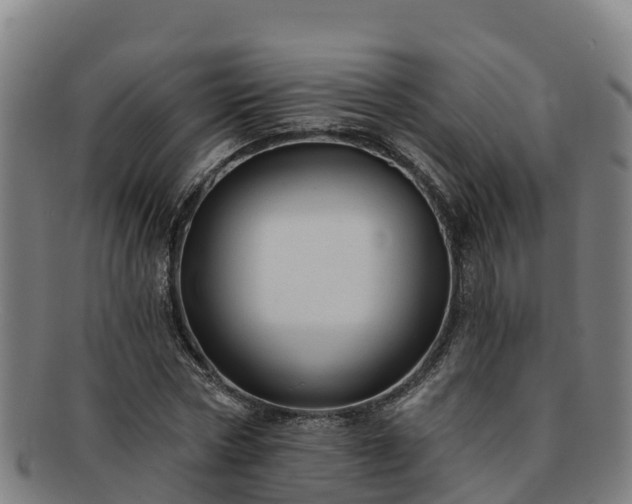 X0000091730778200708311201