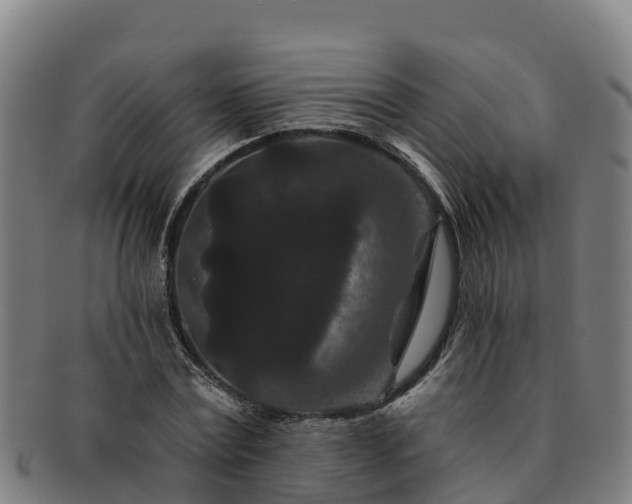 X0000091730779200708311201