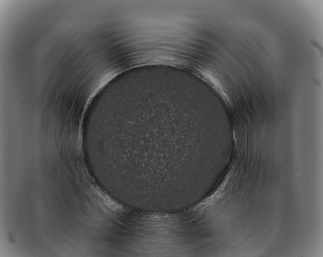 X0000091730780200708311201