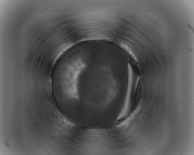 X0000091730781200708311201