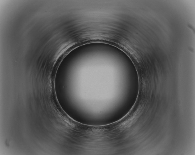 X0000091730782200708311201