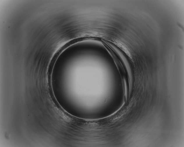 X0000091730784200708311201