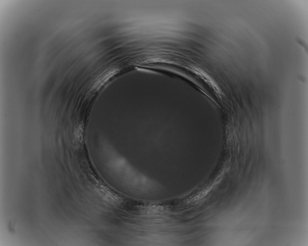 X0000091730785200708311201