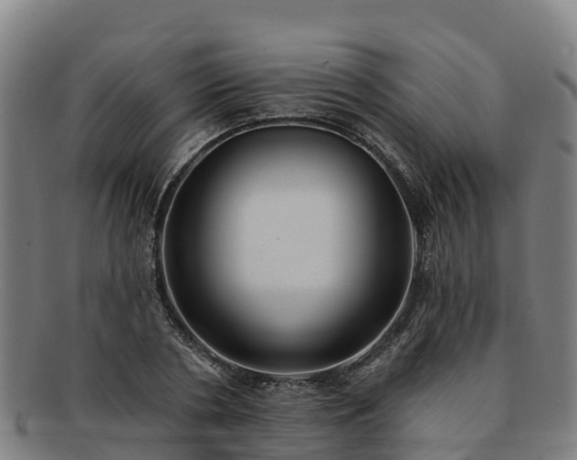 X0000091730786200708311201