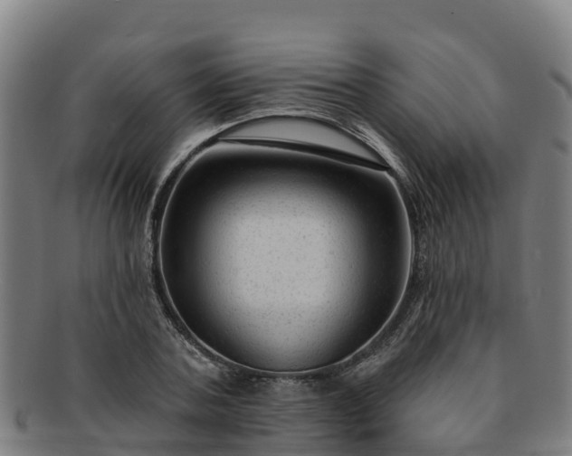 X0000091730787200708311201