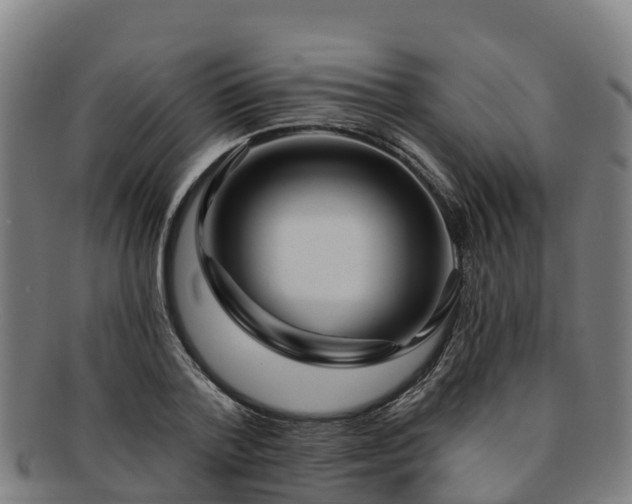 X0000091730788200708311201