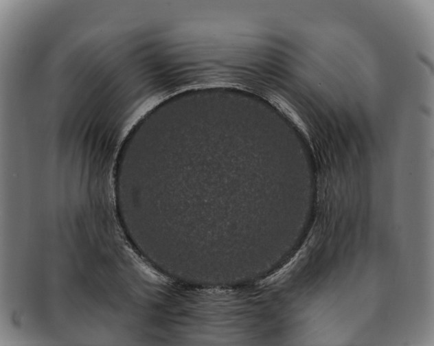 X0000091730789200708311201