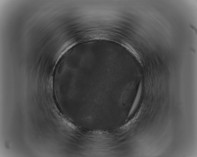 X0000091730790200708311201