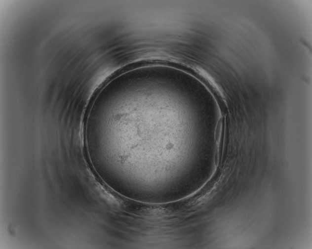 X0000091730791200708311201