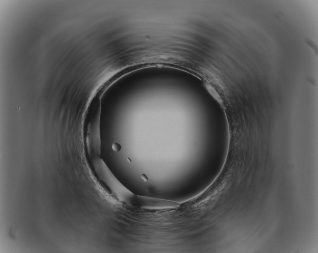 X0000091730792200708311201