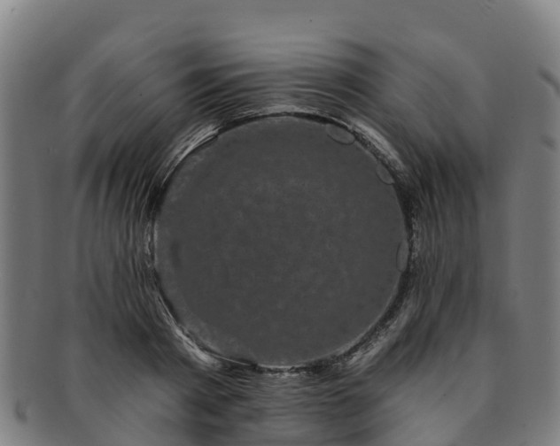 X0000091730793200708311201