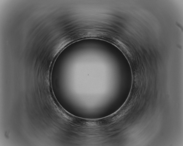 X0000091730794200708311201