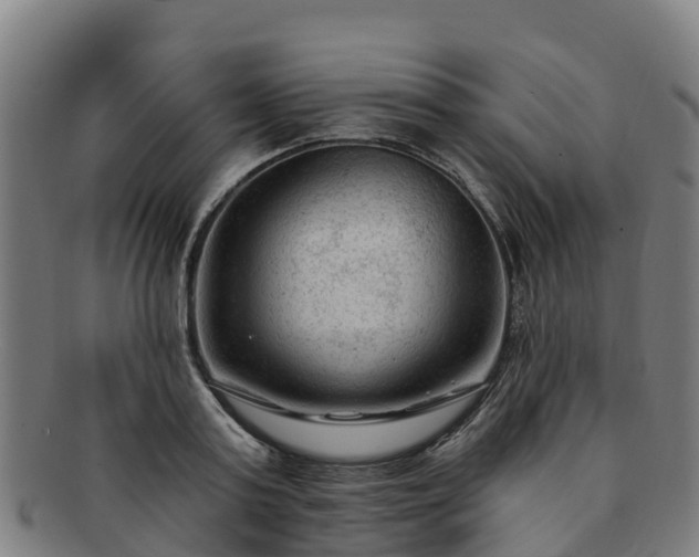 X0000091730795200708311201