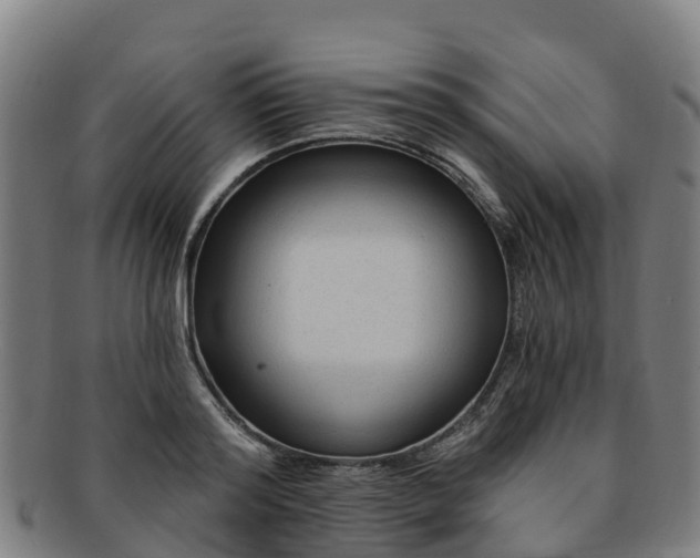 X0000091730796200708311201