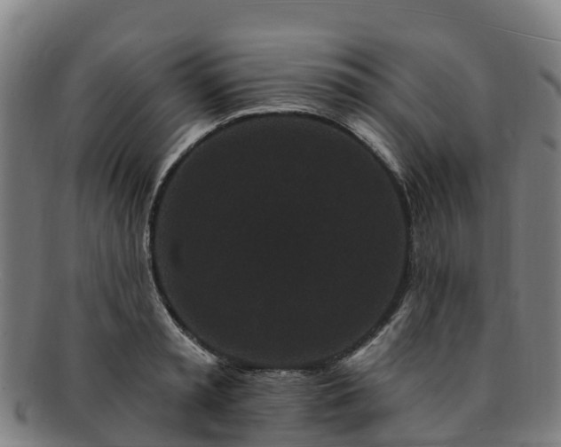 X0000091730797200708311201