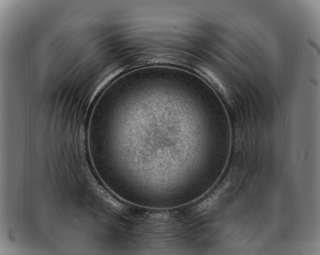 X0000091730798200708311201