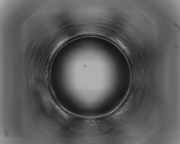 X0000091730799200708311200