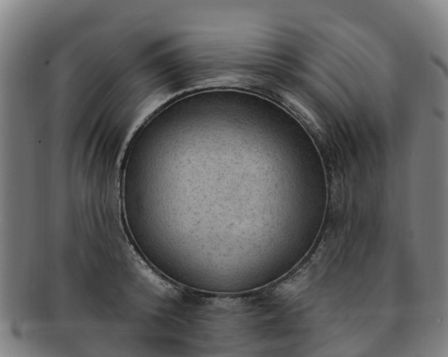 X0000091730800200708311200