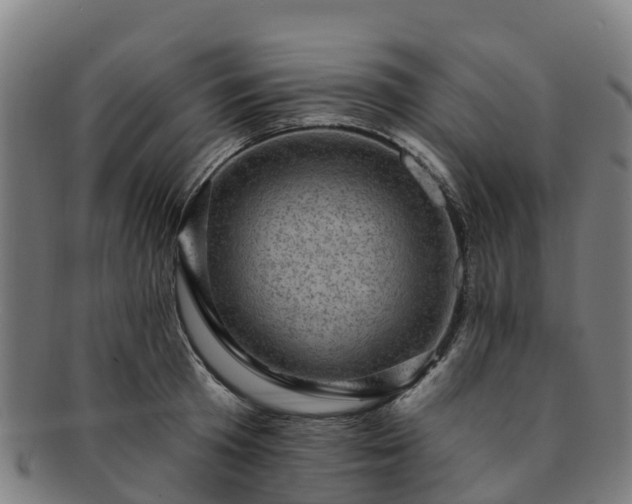 X0000091730801200708311200