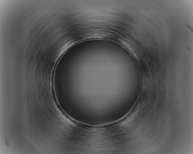 X0000091730802200708311200