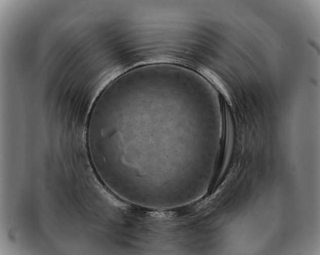 X0000091730805200708311200