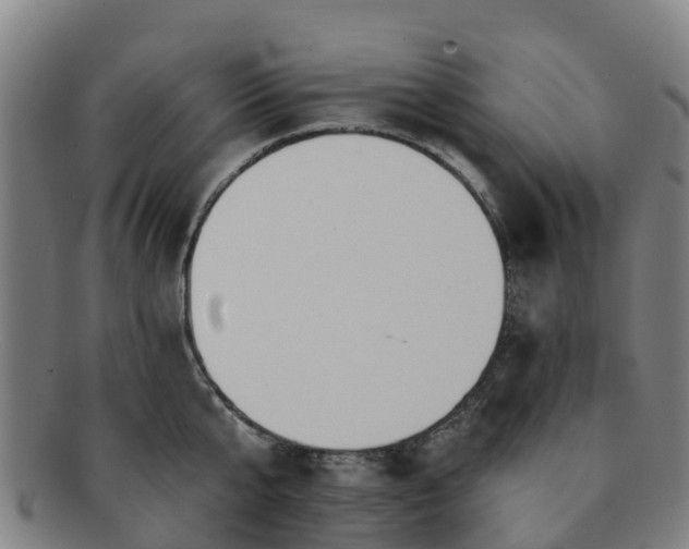 X0000091730807200708311200
