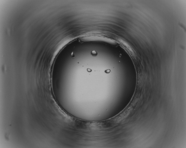 X0000091730808200708311200