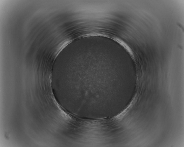 X0000091730809200708311200