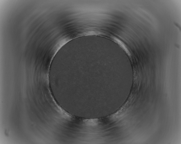 X0000091730810200708311200