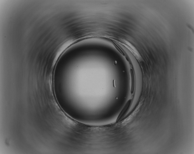 X0000091730812200708311200
