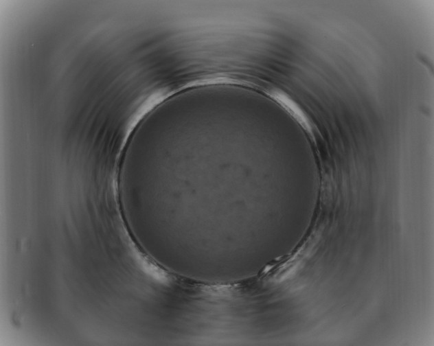 X0000091730813200708311200