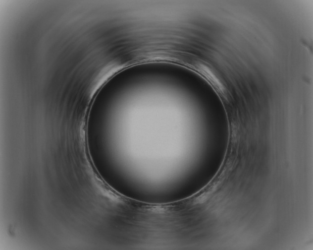 X0000091730814200708311200