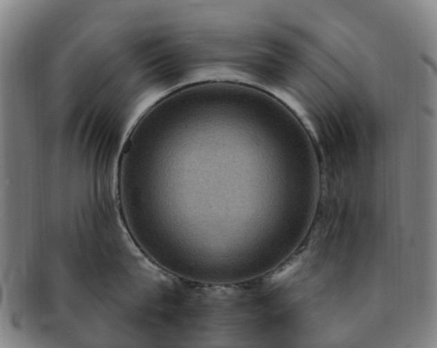 X0000091730815200708311200