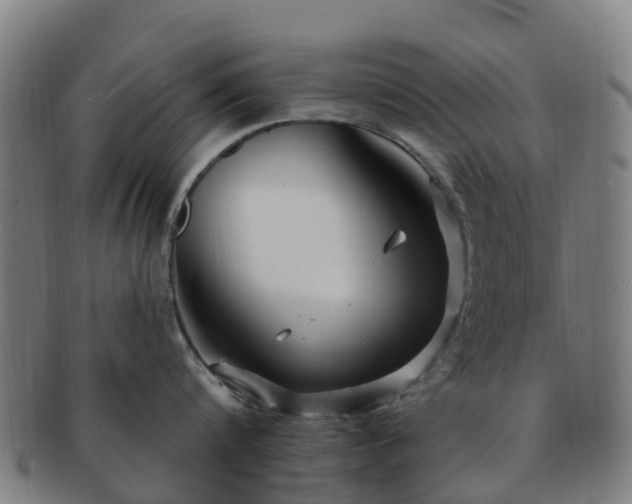 X0000091730816200708311200