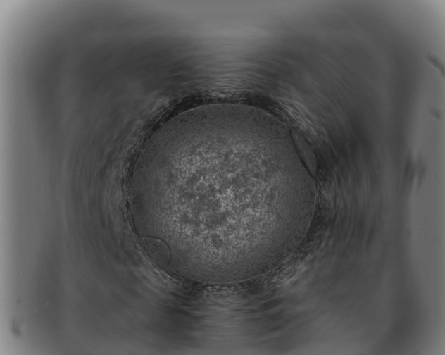 X0000091730817200708311159