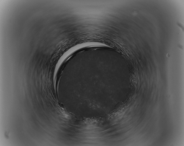 X0000091730818200708311159