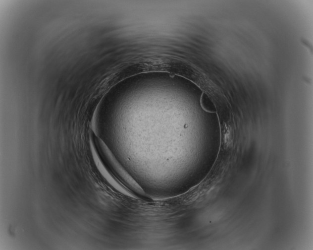 X0000091730819200708311159