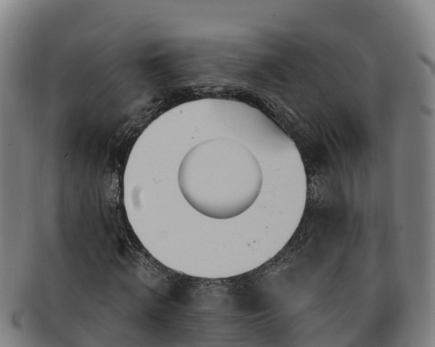 X0000091730820200708311159