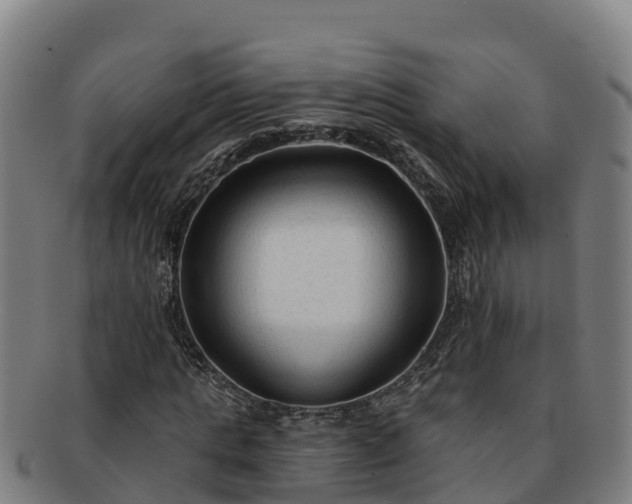 X0000091730821200708311159