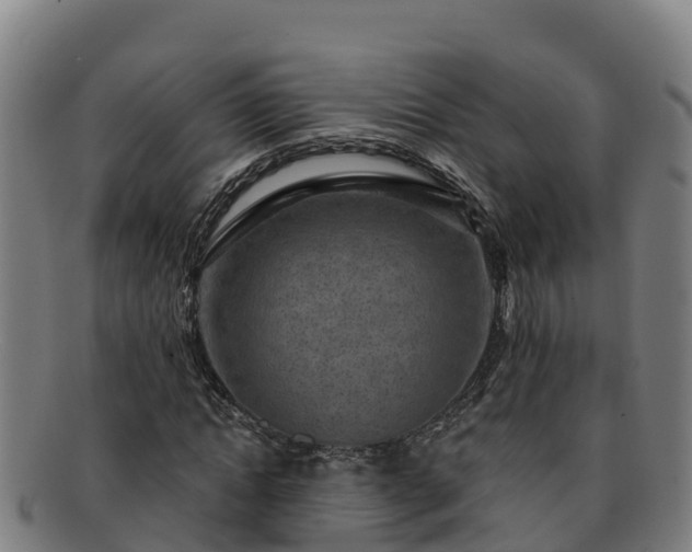X0000091730822200708311159