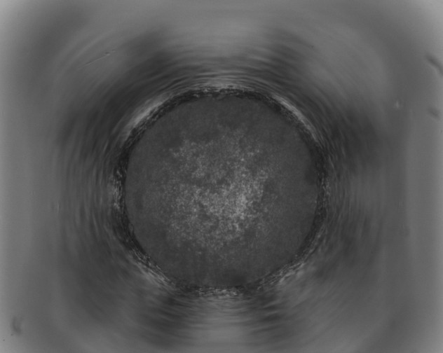 X0000091730823200708311200