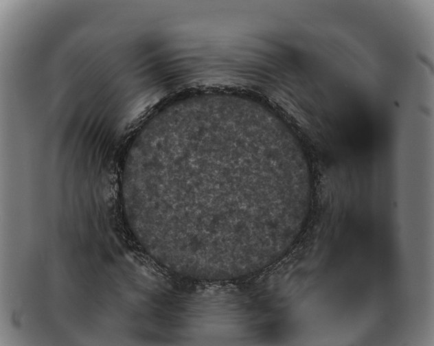 X0000091730824200708311200