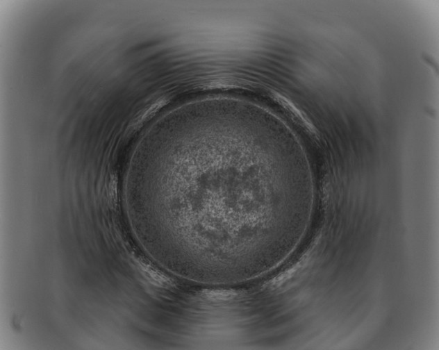 X0000091730825200708311200