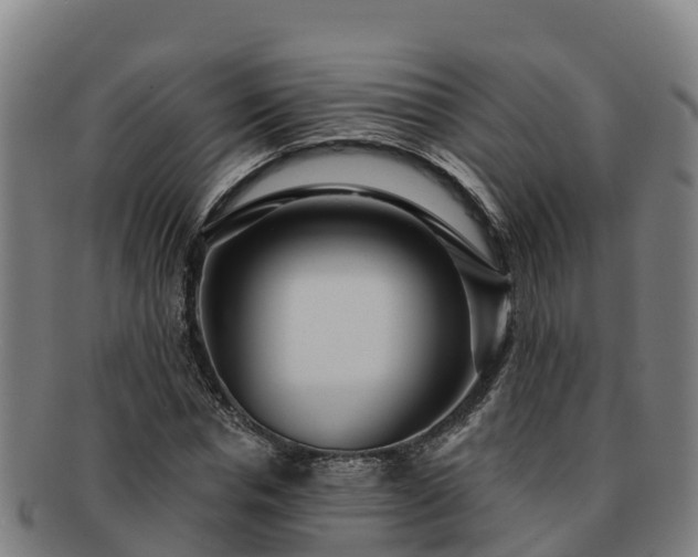 X0000091730826200708311200