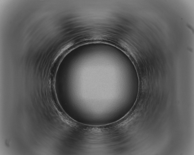 X0000091730827200708311200