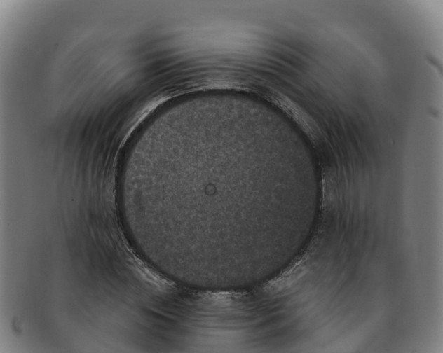 X0000091730828200708311200
