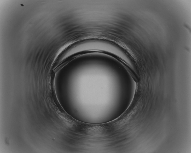 X0000091730830200708311200