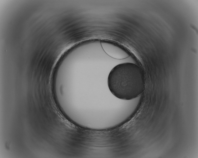 X0000091730832200708311200