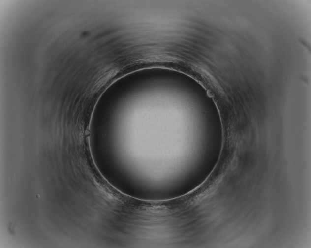 X0000091730833200708311200